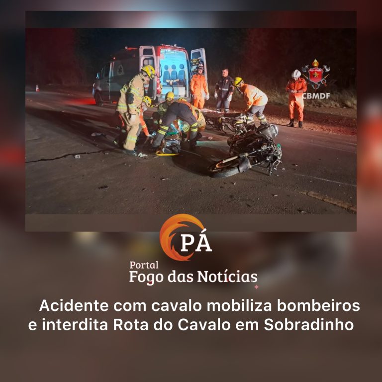 PÁ Portal das Notícias | Motociclista fica inconsciente após bater em cavalo na Rota do Cavalo, em Sobradinho